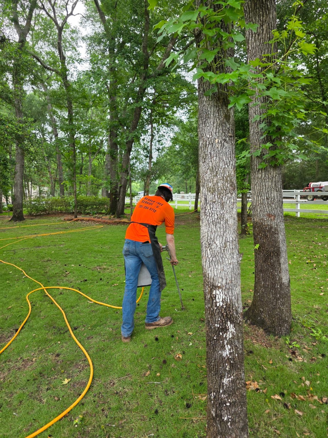 Deep Tree Root Fertilization - Beaver Tree Service