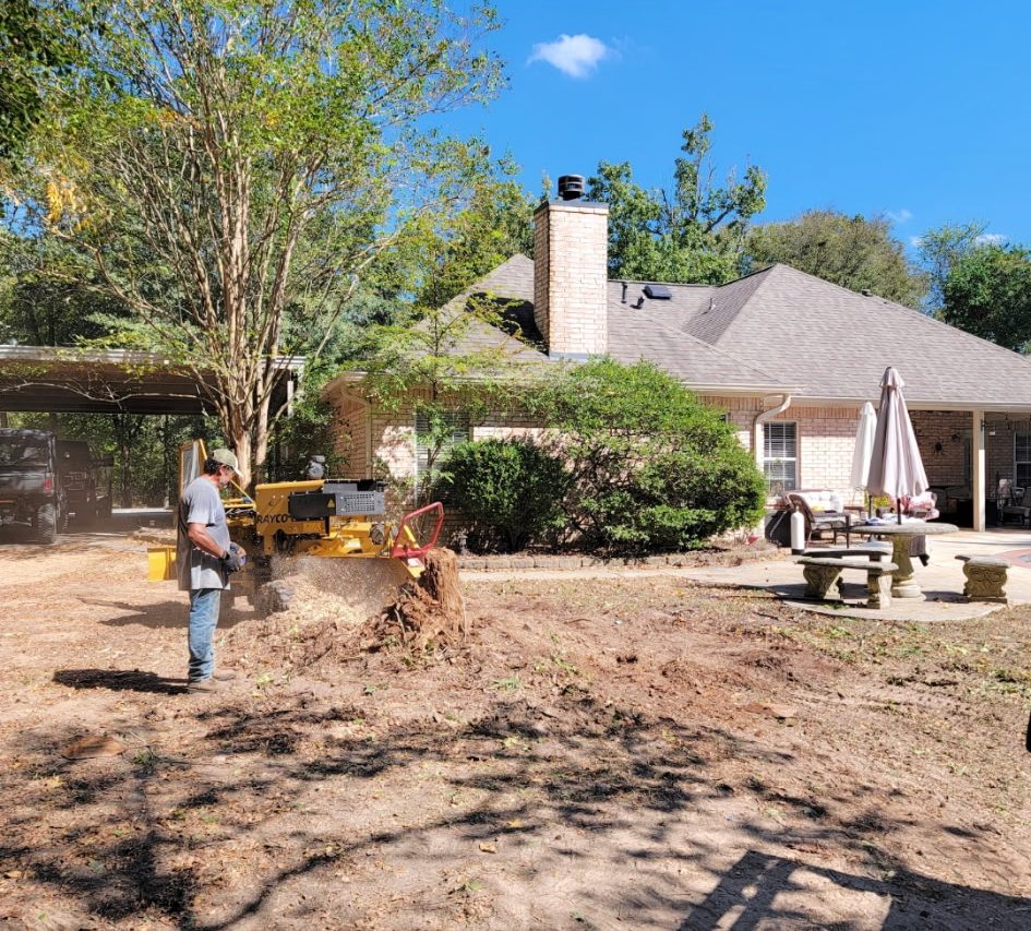 A worker operates a stump grinder in a residential yard, clearing away tree remnants under a clear blue sky.
