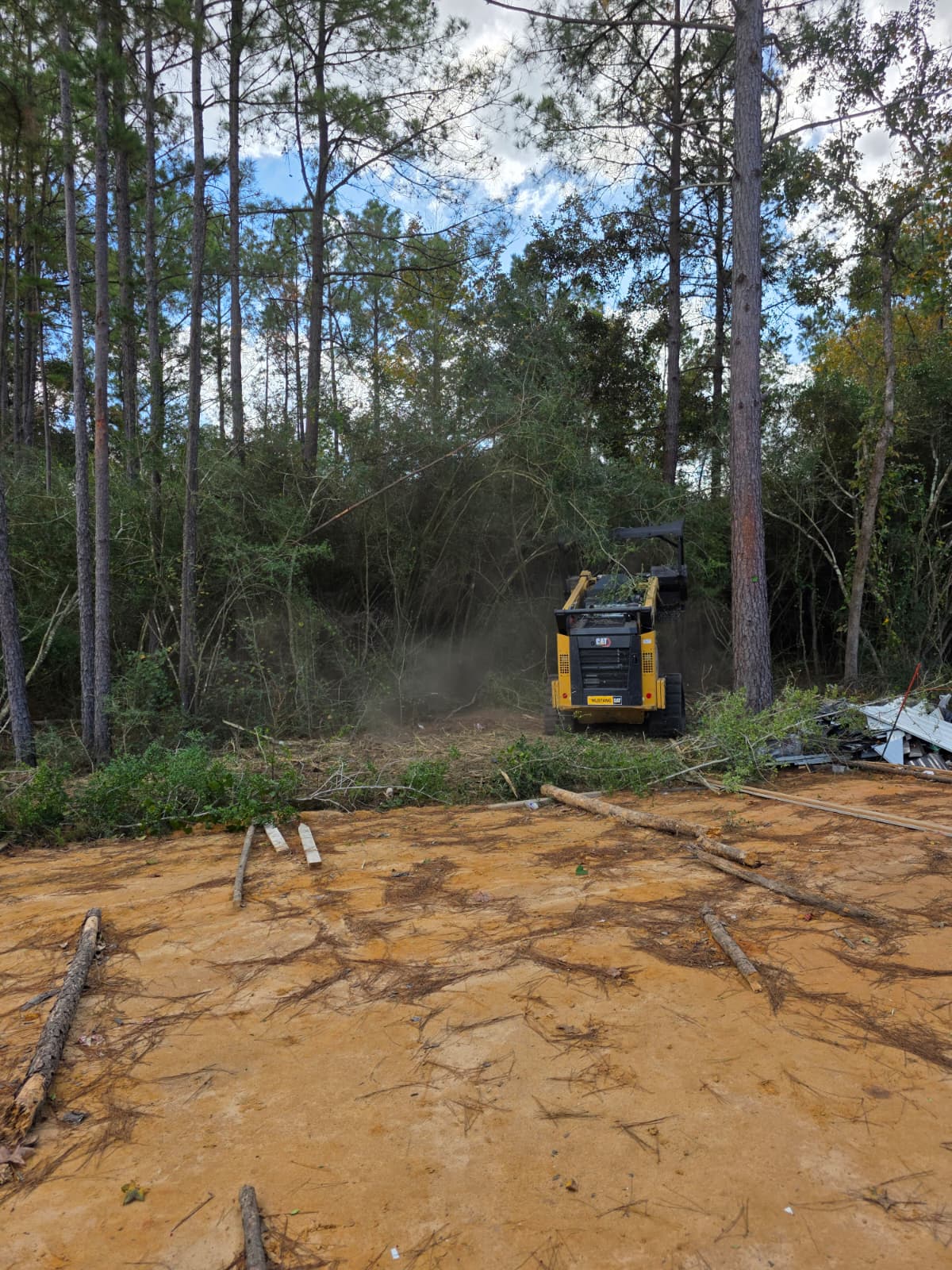 A skid steer loader parked at the edge of a wooded property during land clearing.